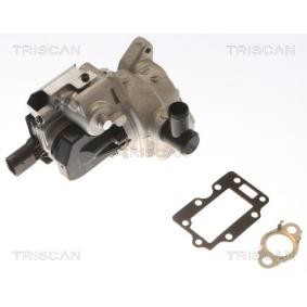 AGR-Ventil für HYUNDAI von TRISCAN