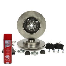Bremsscheiben und -beläge für DS von MASTER-SPORT