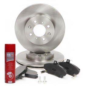 Bremsscheiben und -beläge für ROVER von MASTER-SPORT
