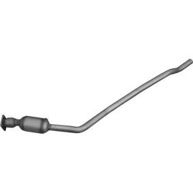 Acquista Catalizzatore da POLMO 99.265 a buon mercato per soli 369,81 €