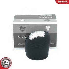 Acquista Pomello del cambio da ESEN SKV online per Daily VI Van a prezzi moderati