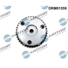 Nockenwellenversteller DRM01559
