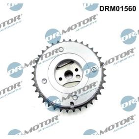 Nockenwellenversteller DRM01560