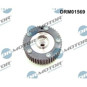 Compre Regulador do veio de excêntricos da DR.MOTOR AUTOMOTIVE DRM01569 a um preço baixo por 117,61 €