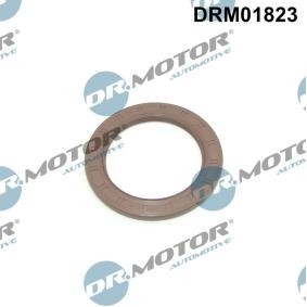 Kurbelwellensimmering DRM01823