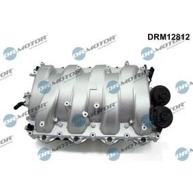 Ansaugbrücke DRM12812