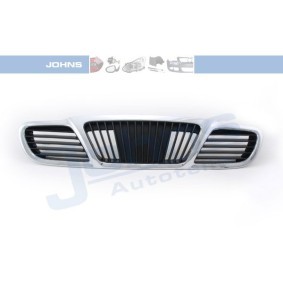 Kühlergrill 24 01 05