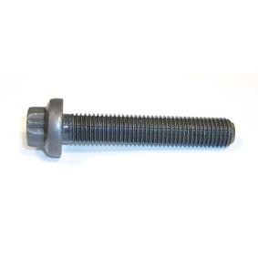 Schraube, Lagerbock-Kurbelwelle 441.021