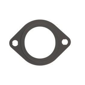 Dichtung, Wasserpumpe 24805.57 für RENAULT TRUCKS