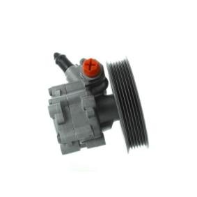 Servopumpe GKNY10017