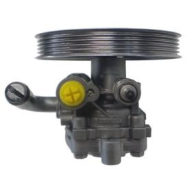 Servopumpe GKNY10038