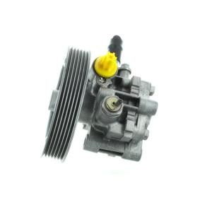 Achetez des Pompe de direction assistée SPIDAN GKNY10044 à prix pour 338,31 €