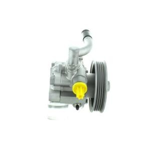 Servopumpe GKNY10060