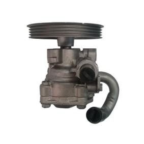 Servopumpe von SPIDAN für L 400 Kasten (PD_W, PC_W, PB_V, PA_W, PA_V) günstig online kaufen