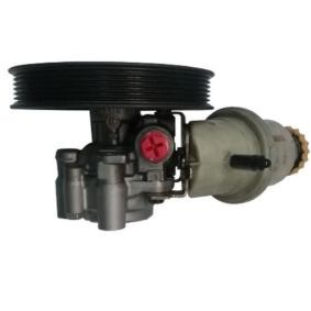 Servopumpe GKNY10084