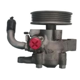 Servopumpe GKNY10093