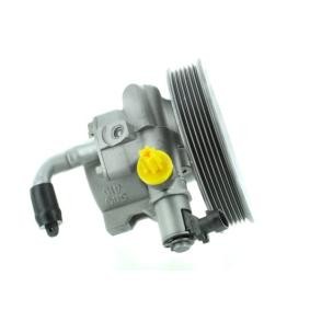 Acquista Pompa idraulica, sterzo da SPIDAN GKNY10135 a buon mercato per soli 312,93 €