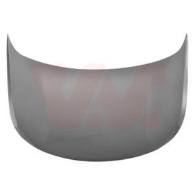 Motorhaube 4084660
