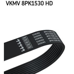 Acquista Cinghia servizi da SKF VKMV 8PK1530 HD a buon mercato per soli 65,71 €