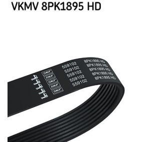 Acquista Cinghia servizi da SKF VKMV 8PK1895 HD a buon mercato per soli 22,52 €