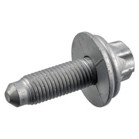 Bremssattelschraube 182453