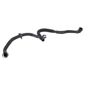 Köp Slang, vevhusventilation av FEBI BILSTEIN 185676 till det låga priset 537,94 kr