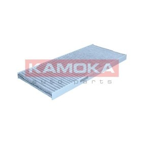 Innenraumfilter F523401