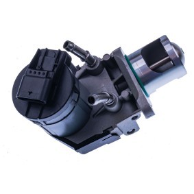 Comprar Válvula EGR de DENCKERMANN E400124 a bajo precio de 135,39 €