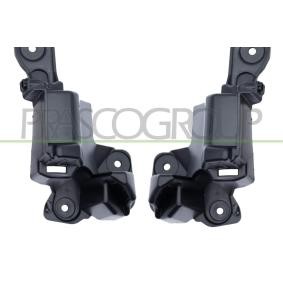 Compre Soporte de parachoques de PRASCO online para Kangoo III MPV a precios moderados