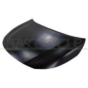 Motorhaube TY0963100
