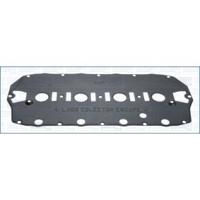 Ventildeckeldichtung 11064700