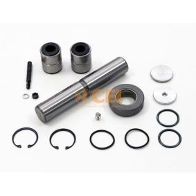 Acquista Kit riparazione, Perno fuso a snodo da CEI 230.136 a buon mercato per soli 97,32 €