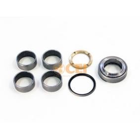 Acquista Kit riparazione, Perno fuso a snodo da CEI 230.168 a buon mercato per soli 60,57 €