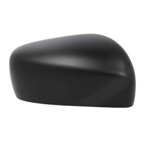 Køb Spejlglas, udvendig spejl af BLIC 6102-24-1517311P til den lave pris 675,10 DKK