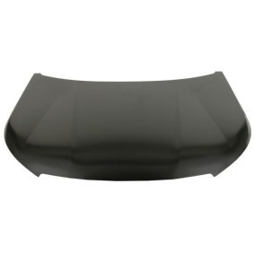 Motorhaube 6803-00-5517280AP