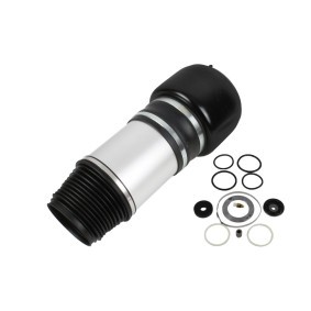 Acquista Soffietto, Sospensione pneumatica da ABAKUS 131-02-004 a buon mercato per soli 278,14 €