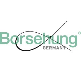 Achetez des Tirette de capot moteur Borsehung B10780 à prix pour 11,52 €