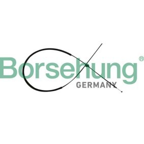 Achetez des Tirette de capot moteur Borsehung B10782 à prix pour 12,05 €