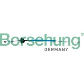 Seilzug, Türentriegelung von Borsehung