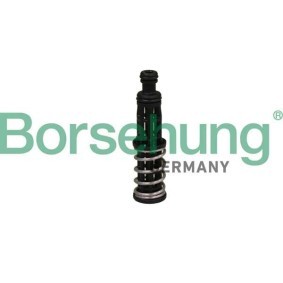 Öldruckventil von Borsehung