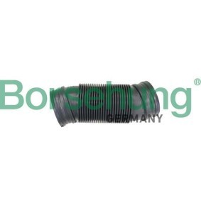 Comprar Tubo flexible de aspiración, filtro de aire de Borsehung B12326 a bajo precio de 12,69 €