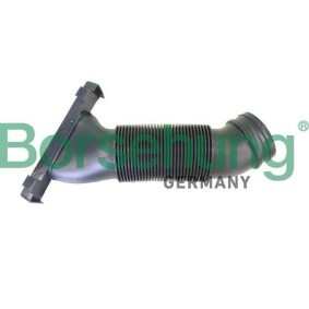 Comprar Tubo flexible de aspiración, filtro de aire de Borsehung B12327 a bajo precio de 31,24 €