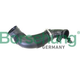 Ansaugschlauch, Luftfilter von Borsehung für TIGUAN (AD1) günstig online kaufen