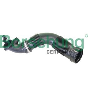 Ansaugschlauch, Luftfilter von Borsehung für TIGUAN (AD1) günstig online kaufen