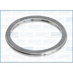 Dichtring, Abgasrohr 19003900