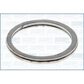 Dichtring, Abgasrohr 19004300