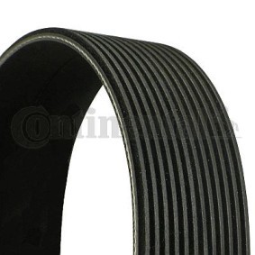 Compre Correia trapezoidal estriada da CONTITECH 12PK1962 a um preço baixo por 27,09 €
