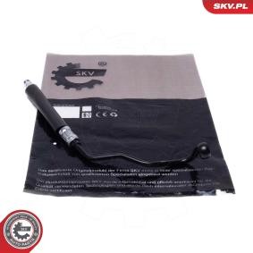 Servoleitung von ESEN SKV