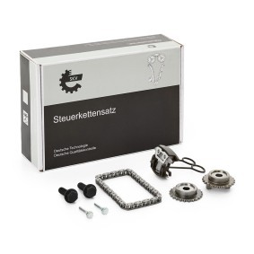 Steuerkettensatz 21SKV255