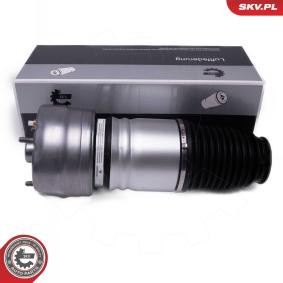 Acquista Ammortizzatore pneumatico da ESEN SKV 58SKV080 a buon mercato per soli 452,59 €